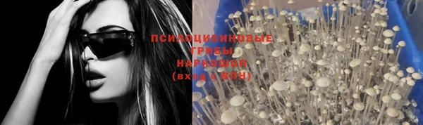 гидропоника Алексин