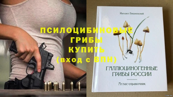 гидропоника Алексин